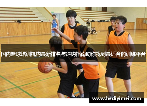 国内篮球培训机构最新排名与选购指南助你找到最适合的训练平台