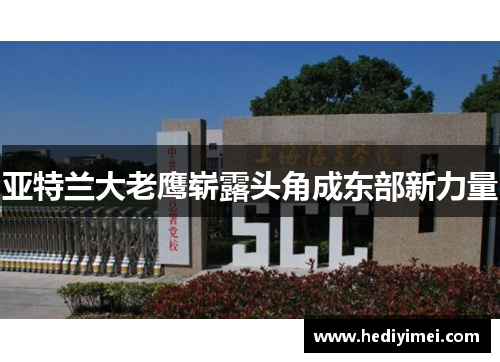 亚特兰大老鹰崭露头角成东部新力量