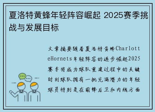 夏洛特黄蜂年轻阵容崛起 2025赛季挑战与发展目标
