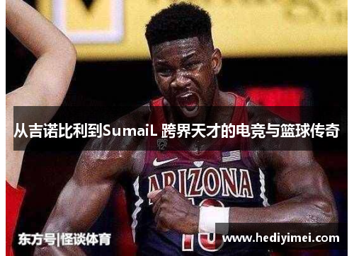 从吉诺比利到SumaiL 跨界天才的电竞与篮球传奇
